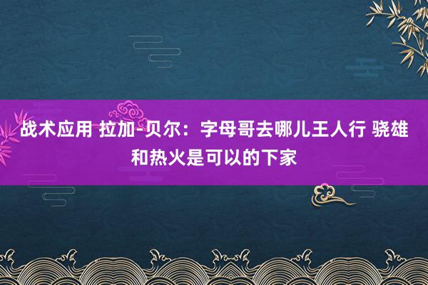 战术应用 拉加-贝尔：字母哥去哪儿王人行 骁雄和热火是可以的下家