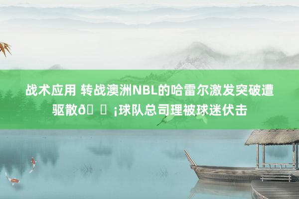 战术应用 转战澳洲NBL的哈雷尔激发突破遭驱散😡球队总司理被球迷伏击