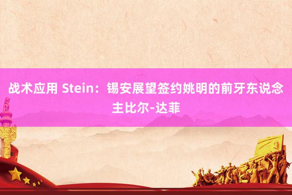 战术应用 Stein：锡安展望签约姚明的前牙东说念主比尔-达菲