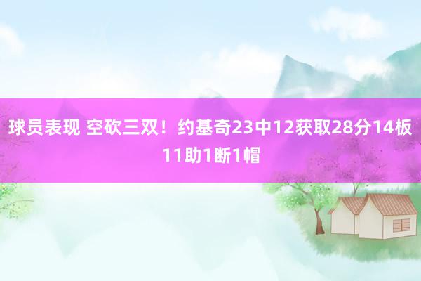 球员表现 空砍三双！约基奇23中12获取28分14板11助1断1帽