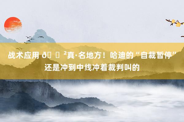 战术应用 😲真·名地方！哈迪的“自裁暂停”还是冲到中线冲着裁判叫的