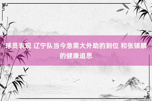 球员表现 辽宁队当今急需大外助的到位 和张镇麟的健康追思