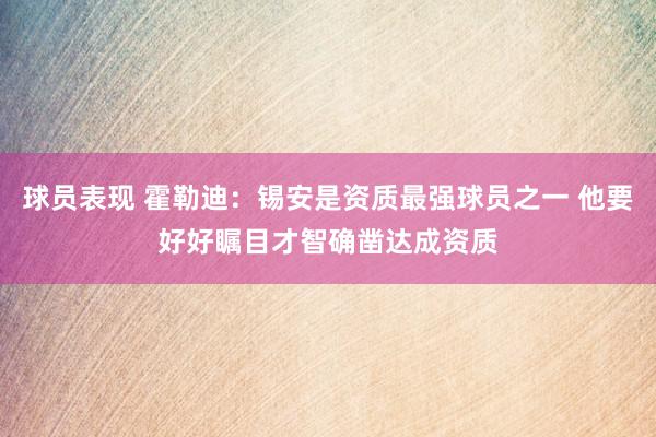 球员表现 霍勒迪：锡安是资质最强球员之一 他要好好瞩目才智确凿达成资质