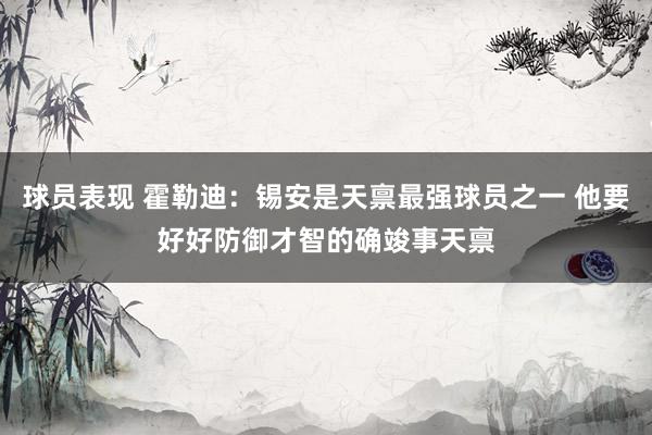 球员表现 霍勒迪：锡安是天禀最强球员之一 他要好好防御才智的确竣事天禀