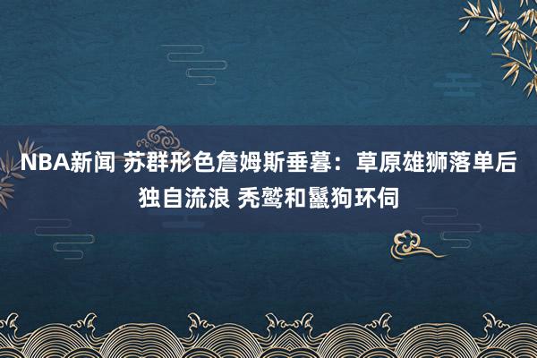 NBA新闻 苏群形色詹姆斯垂暮：草原雄狮落单后独自流浪 秃鹫和鬣狗环伺