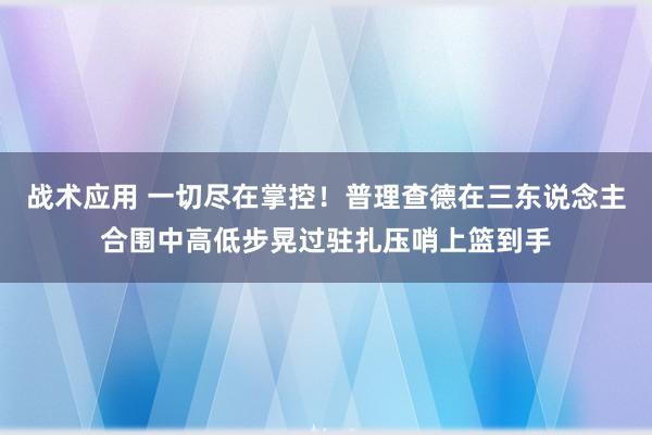 战术应用 一切尽在掌控！普理查德在三东说念主合围中高低步晃过驻扎压哨上篮到手