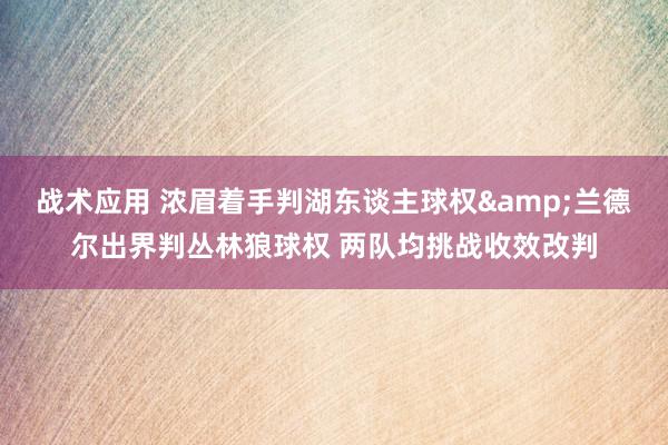 战术应用 浓眉着手判湖东谈主球权&兰德尔出界判丛林狼球权 两队均挑战收效改判